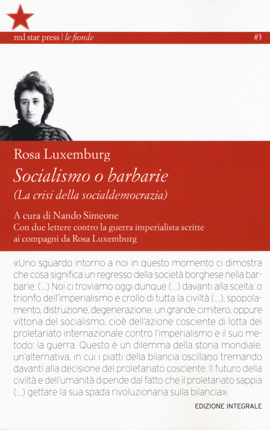 Socialismo e barbarie (La crisi della socialdemocrazia)