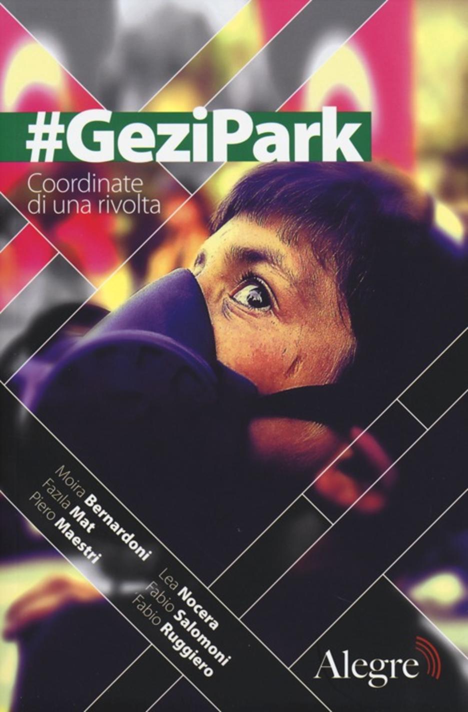 Gezi Park coordinate di una rivolta